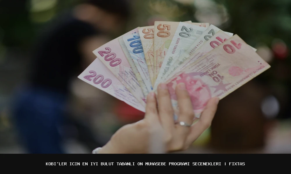 KOBİ'ler İçin En İyi Bulut Tabanlı Ön Muhasebe Programı Seçenekleri: 2024 Güncellemesi