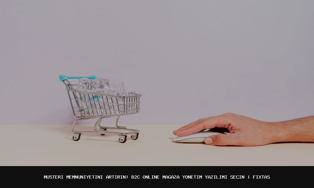 Müşteri Memnuniyetini Artırın! En İyi B2C Online Mağaza Yönetim Yazılımı Seçenekleri