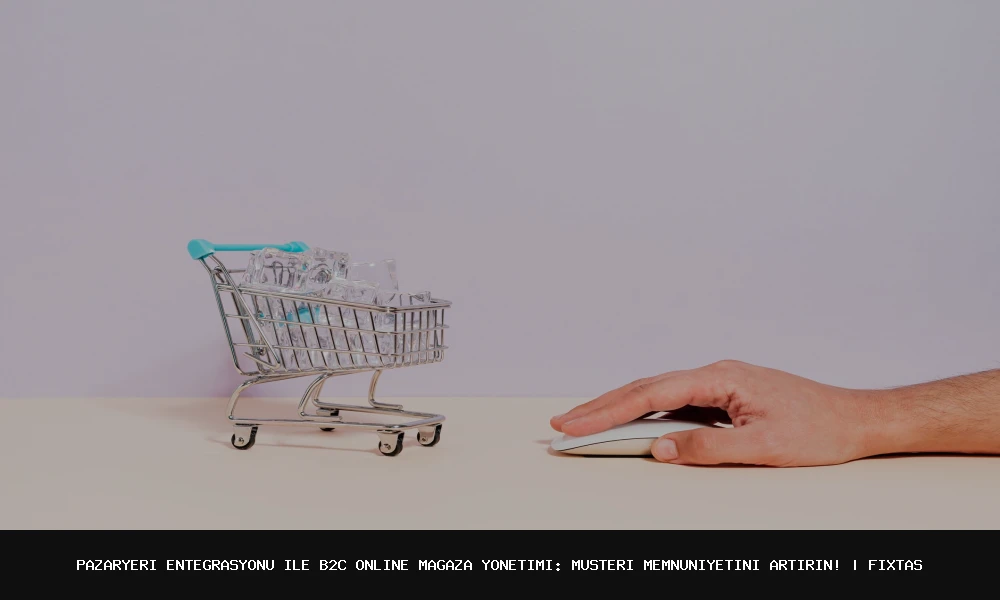 Pazaryeri Entegrasyonu ile B2C Online Mağaza Yönetimi: Müşteri Memnuniyetini Artırın!