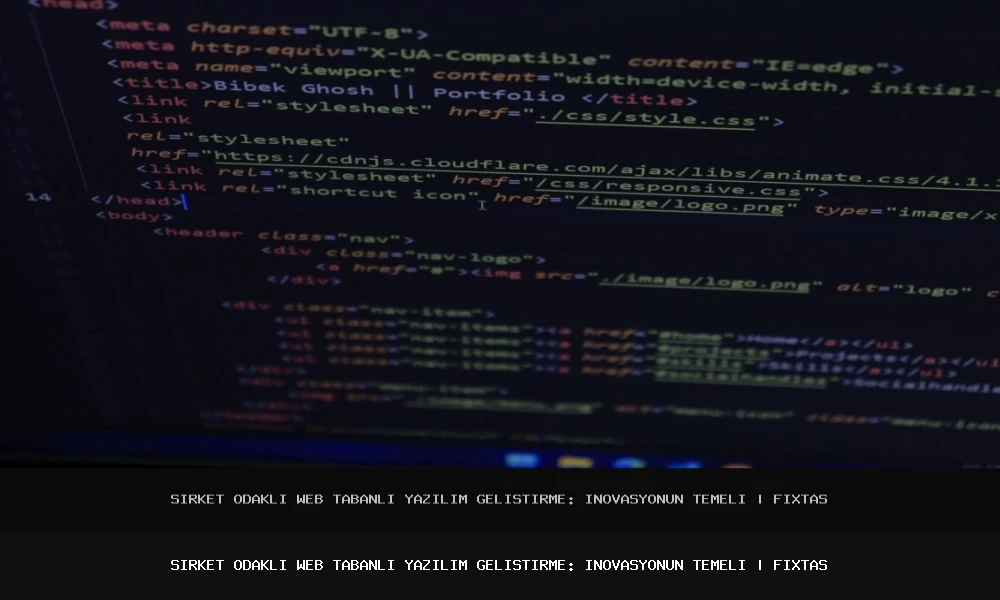 Şirket Odaklı Web Tabanlı Yazılım Geliştirme: İnovasyonun Temeli